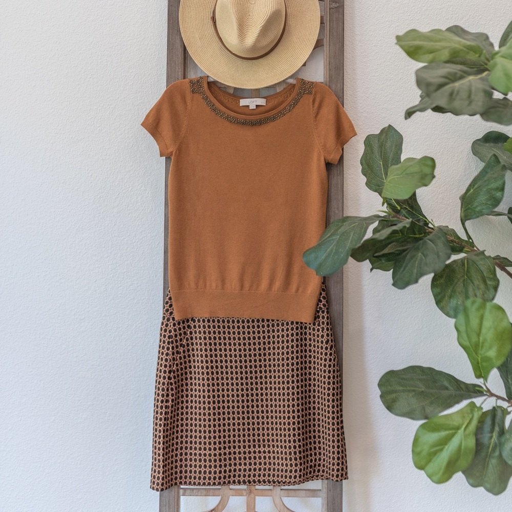 Ann Taylor Loft Skirt set